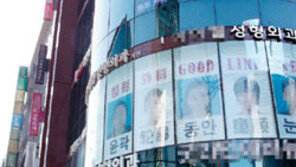 쓰레기 마취약 쓰는 위기의 성형왕국  