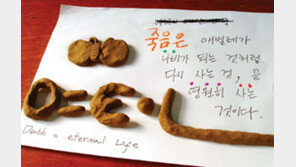 어긋난 웰다잉, 죽음 팔아 잇속?  