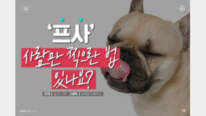 [카드뉴스]사람만 ‘프로필 사진’ 찍으란 법 있나요?