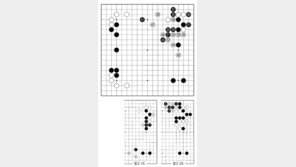 [바둑]제59기 국수전… 강수 연발