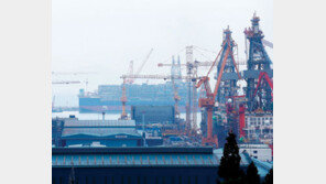 구조조정하랬더니… ‘낙하산’ 투입한 정책금융  