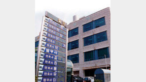 법 위반? 합법화 기준 만들어야 