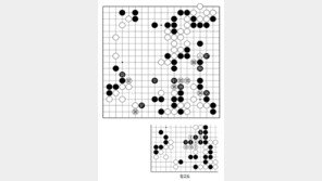 [바둑]제59기 국수전… 구원병?