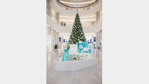 [Q매거진]도심 속 '미리 크리스마스' 女心 싱숭생숭