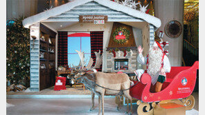 [Q매거진]기부하면 반짝반짝… 셰프의 과자집… 따뜻하고 맛난 트리