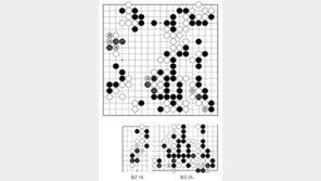 [바둑]제59기 국수전… 흑의 노림수