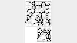 [바둑]제59기 국수전… 신경을 긁는 수
