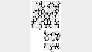 [바둑]제59기 국수전… 끝내기 맥