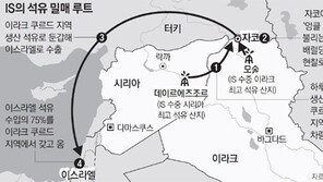 푸틴 “터키, IS원유 밀거래”… 에르도안 “사실이면 사퇴”