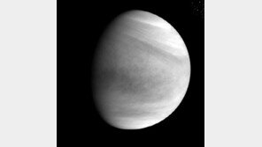 일본 금성탐사선, 금성 궤도 진입 성공… NASA 반응은?