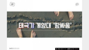 [카드뉴스] “하려면 정부땅에 해라” 광화문 태극기 게양대 ‘땅싸움’