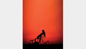 통제력 상실, OPEC의 위기