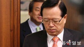 鄭의장 “지역구 246석 직권상정 검토” 