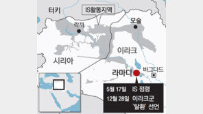 이라크, IS에 빼앗긴 라마디 7개월만에 탈환