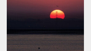 말갛게 해야 솟아라!