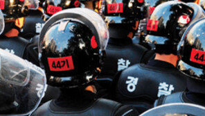 헌법과 도로교통 무엇이 먼저인가