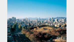 무덤의 주인은 누구인가