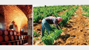 장인정신이 빚은 정열의 와인