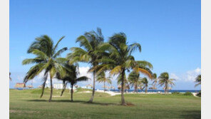 쿠바 ‘체 게바라의 마을’, 개방 물결타고 서핑 천국으로…