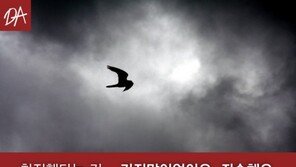 [카드뉴스]“취직했다는 거…거짓말이었어요 죄송해요”