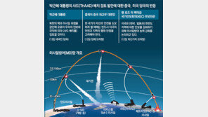 커지는 사드 배치론… 美 “유사시 괌 포대 6시간내 한국에”