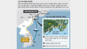 [단독]정부 “나진-하산프로젝트 지원 중단” 