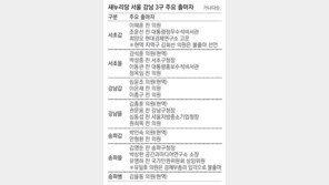 낙점 아닌 경선… 중량급 몰리는 강남벨트