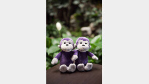 [Q매거진]집에만 있기 아쉽죠! 아이와 함께 남산 한옥마을·제주 여행 어때요? 