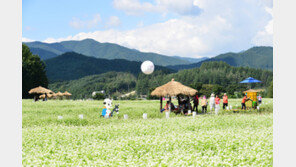 [평창겨울올림픽 G-2년]올림픽 도시는 관광 천국