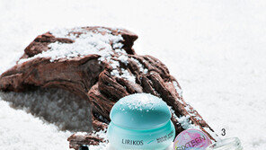 겨울, 수분을 품는 법