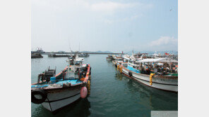 ‘삼미 슈퍼스타즈의 마지막 팬클럽’과 삼천포