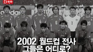 [Magazine D/카드뉴스]2002 월드컵 전사…그들은 어디로?