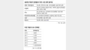 “이란으로” 글로벌 車업계 우르르