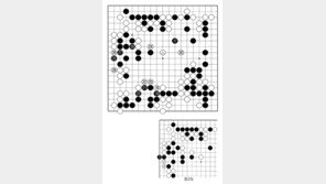 [바둑]제59기 국수전… 연이은 호착