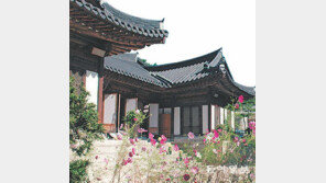 [명상]도심속에도… 시장에도… 치유가 필요한 곳 어디나