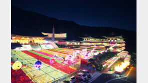 [명상]스트레스로 찌든 몸과 마음, 삼광사서 ‘힐링’하세요∼ 