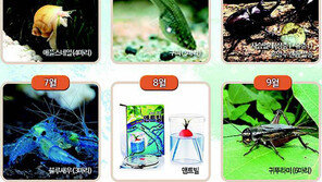 [신나는 공부/알림]논·구술과 영어학습, 대입의 두 마리 토끼 미리 잡아라 外