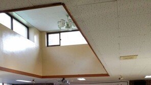 “이웃사랑에 국경이 있나요?” 中 한류팬들 무료 봉사활동 화제