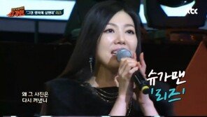 리즈 슈가맨, “2~3년 만에 한 번씩 앨범을 냈다” …근황 알려