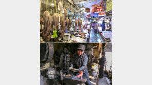 D턴족, 차례 지내고 전통시장 어때요?