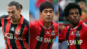 FC서울, 유일한 ‘전북 대항마’