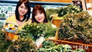 “싱싱한 봄나물 건강에도 만점”