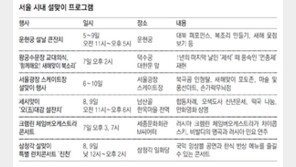 덕수궁에서 악귀 쫓을까 남산골서 신년운세 볼까