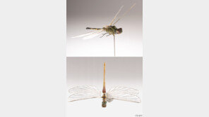 CIA, 40년 전 만든 잠자리 모양 비행체