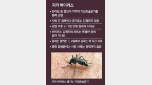 WHO 미주본부 “지카 바이러스 대응에 850만 달러 필요”…브라질 확산 왜?