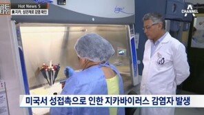 WHO 미주본부 “지카 바이러스 대응”…콘돔 주가 급등 ‘성관계 감염 때문?’