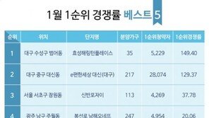 비수기에도 맹모(孟母)들, 1월 분양 시장 이끌어