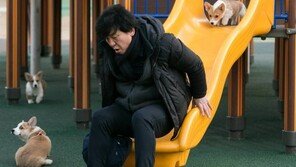 [동아일보 설 특집]생애 첫 산책에 나선 ‘애견 삼둥이’의 좌충우돌 결말은? 