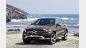 수입차 상승세 꺾이나?