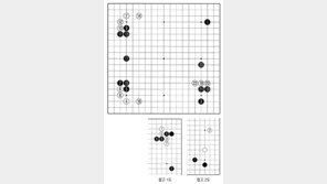 [바둑]제59기 국수전… 이론과 실제